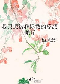 齐等闲玉小龙小说全集阅读